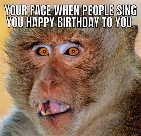 funny happy birthday images